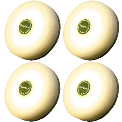 ✨4 in 1 Camping String Lights