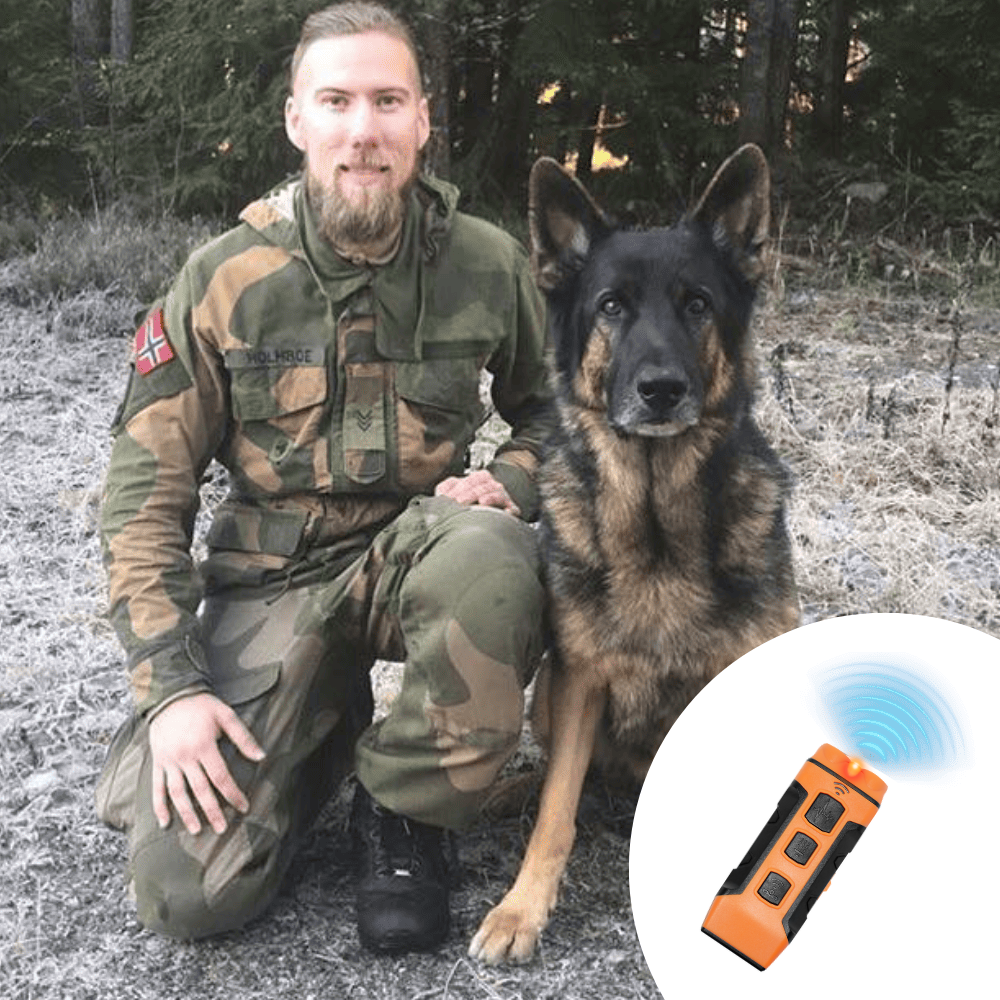Stoppa skällandet – snabbt, enkelt och skonsamt!