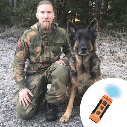 Stoppa skällandet – snabbt, enkelt och skonsamt!