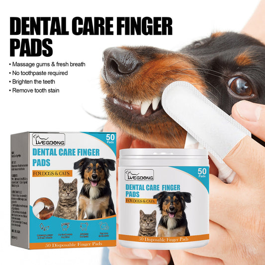FreshWipes Kit – Skyddar mot tandsjukdomar
